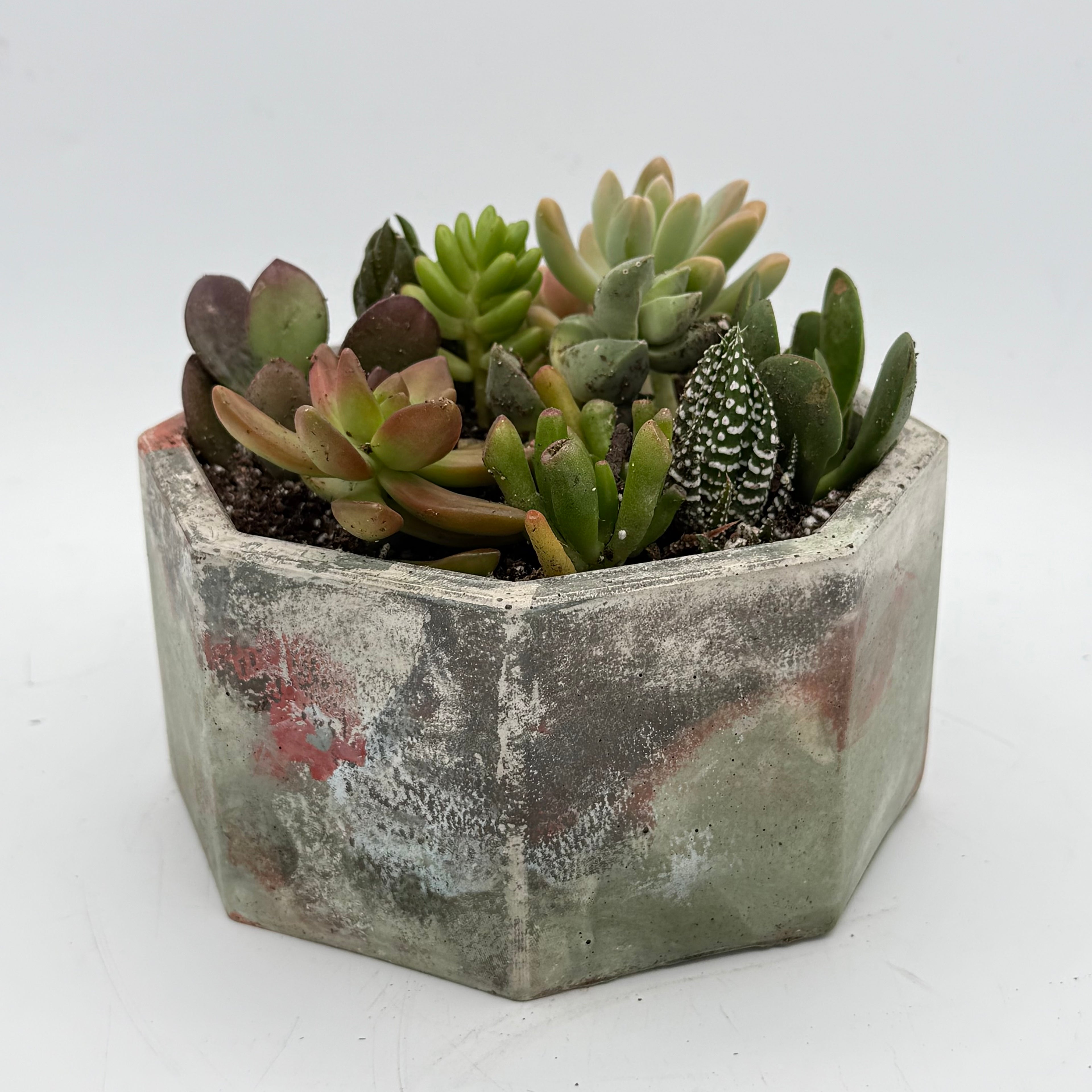 6” Octagonal Planters