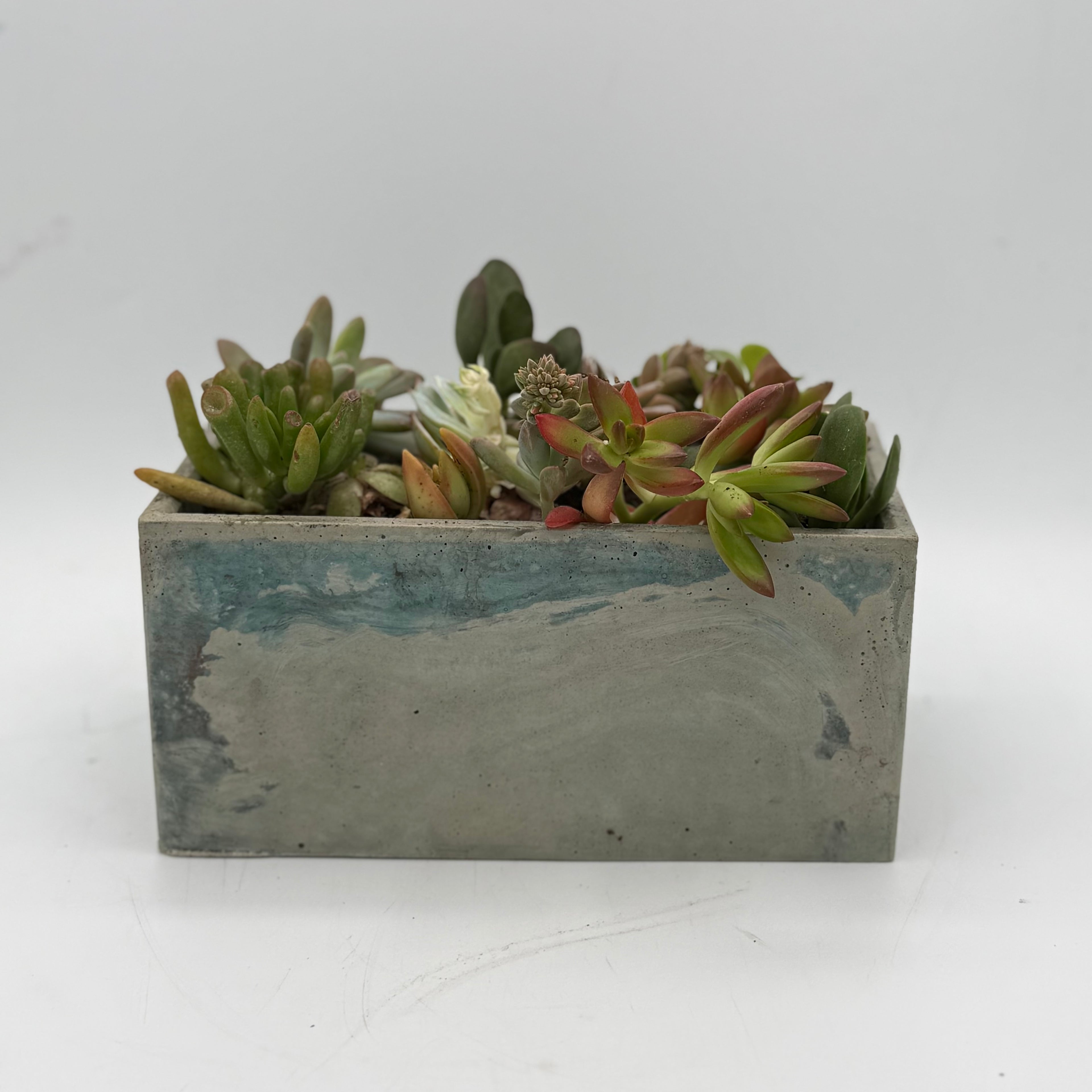 7" Rectangular Planters
