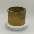 6” Round Pot