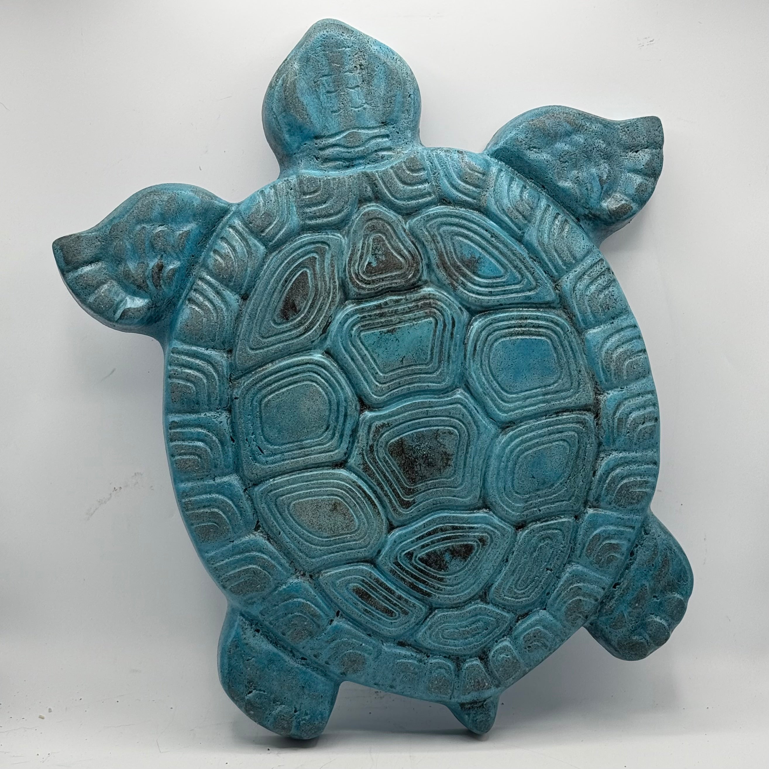 Turtle Stepping Stone