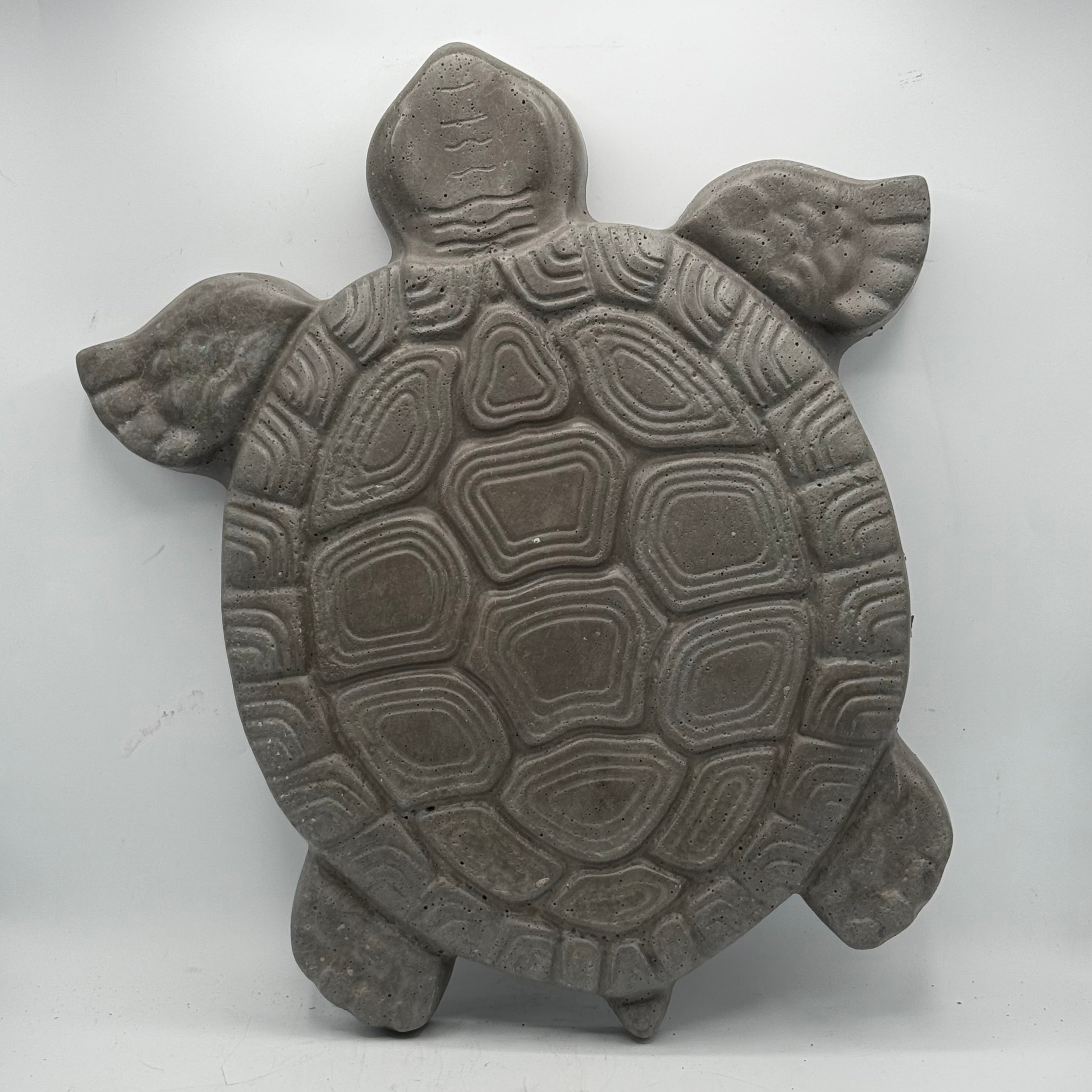 Turtle Stepping Stone