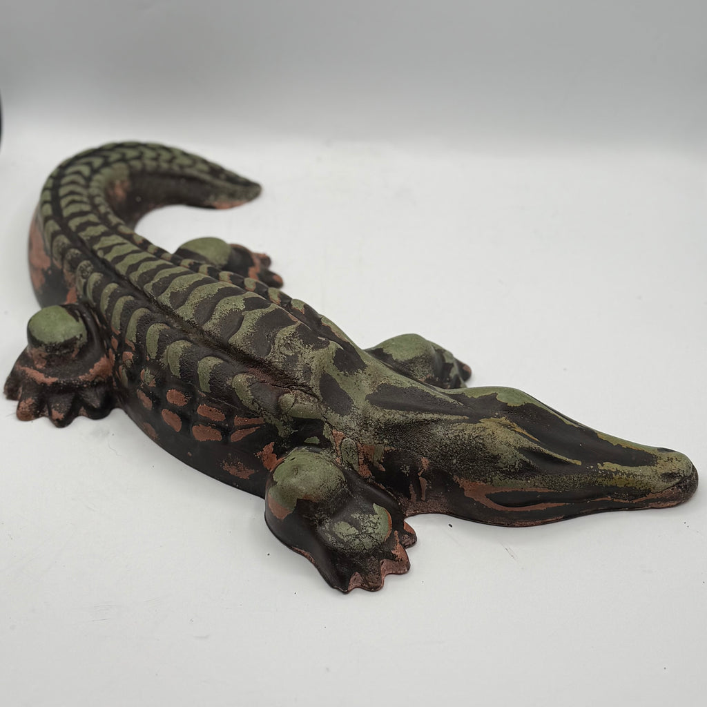 Alligator