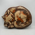 Cat Stepping Stone