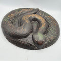Rattle Snake Stepping Stone
