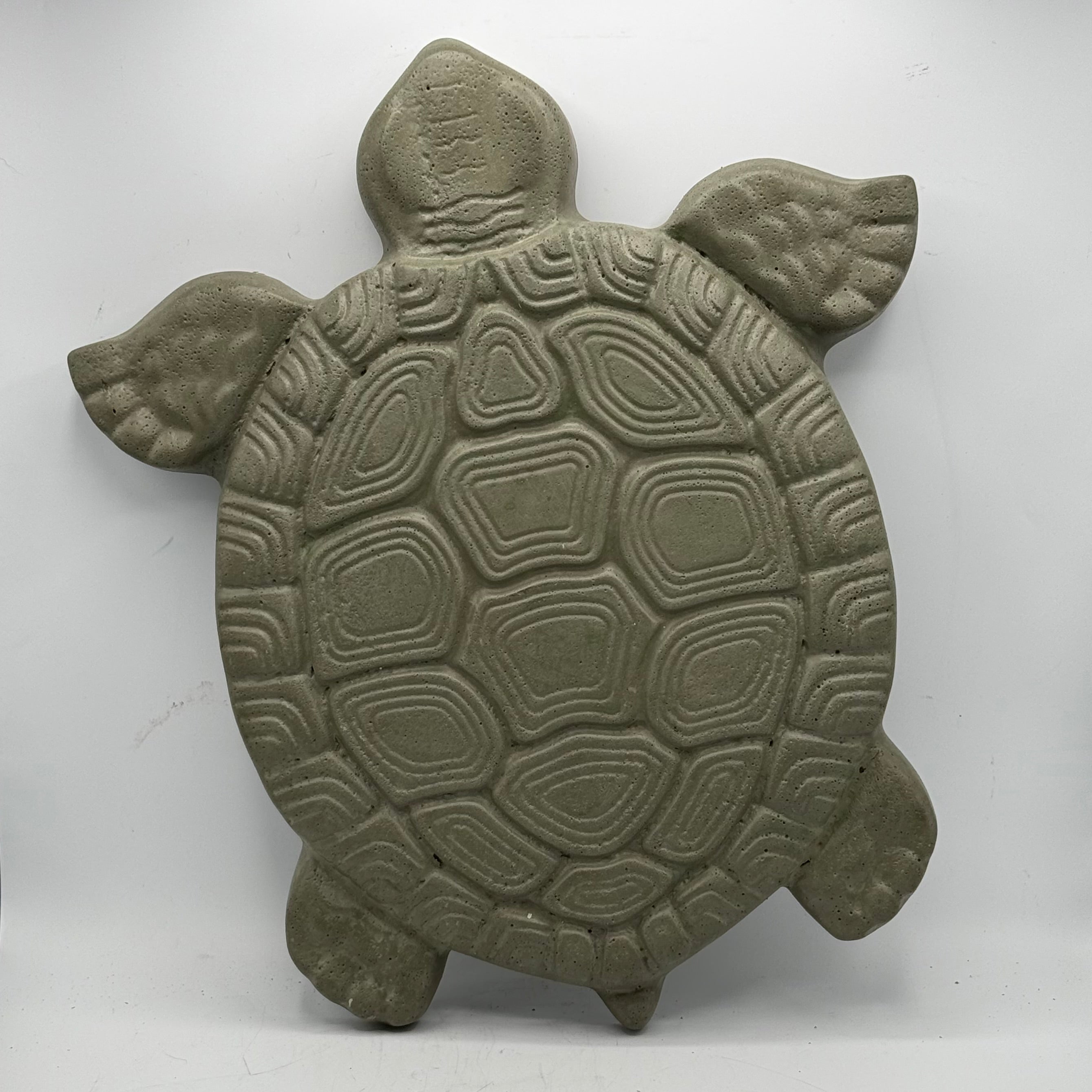 Turtle Stepping Stone