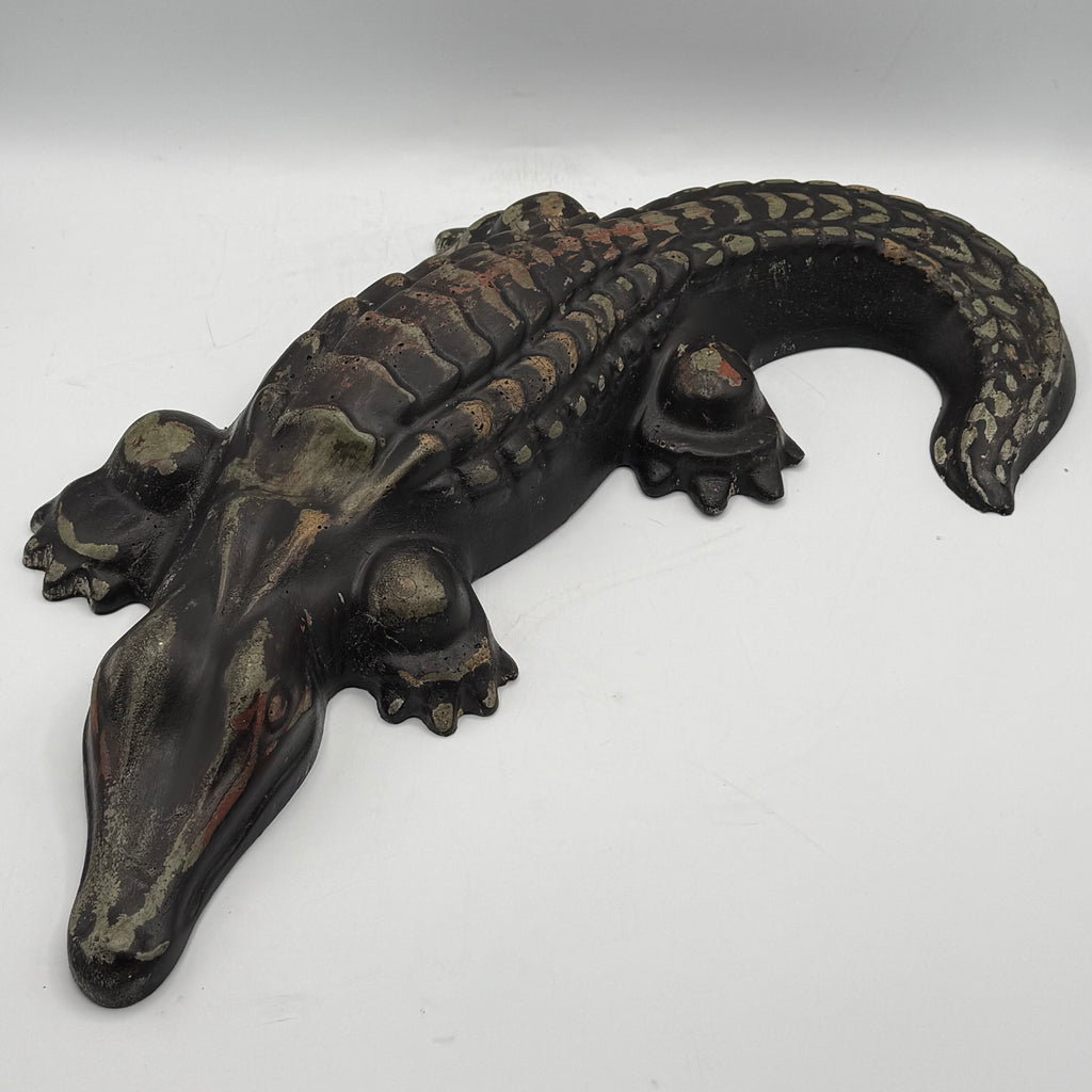 Alligator