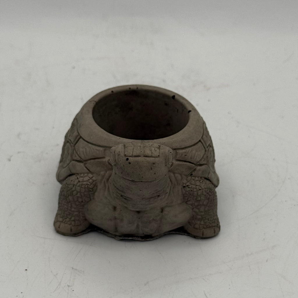 Turtle Planter