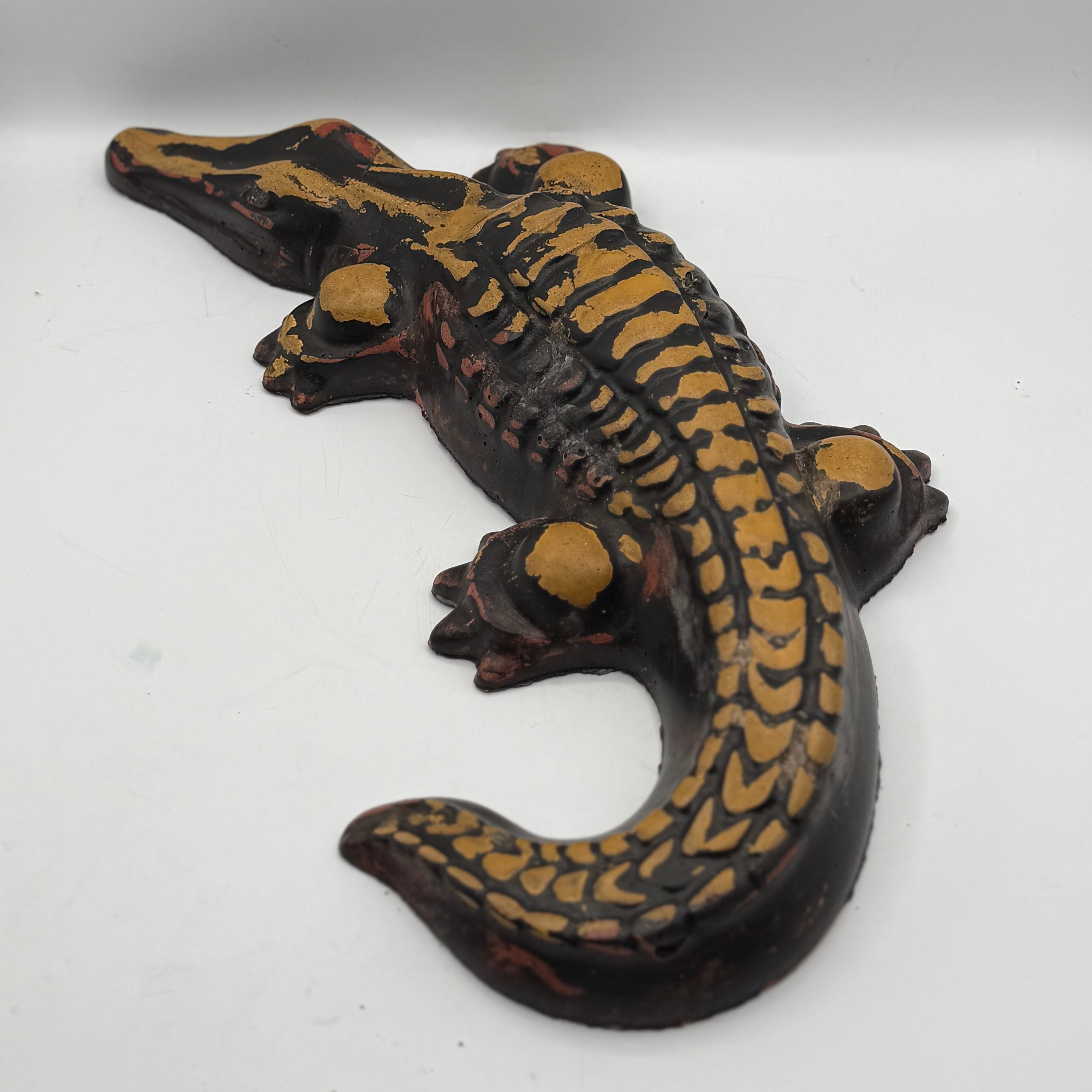 Alligator
