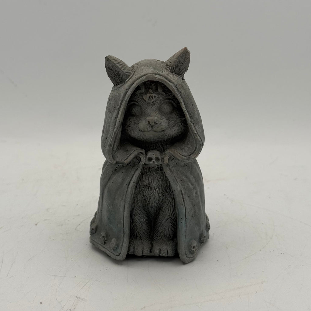 Hooded Cat