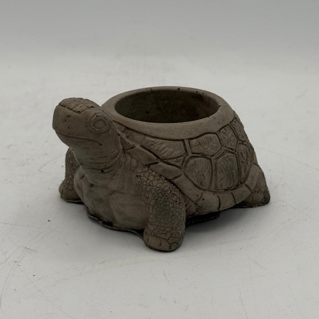 Turtle Planter
