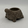 Turtle Planter