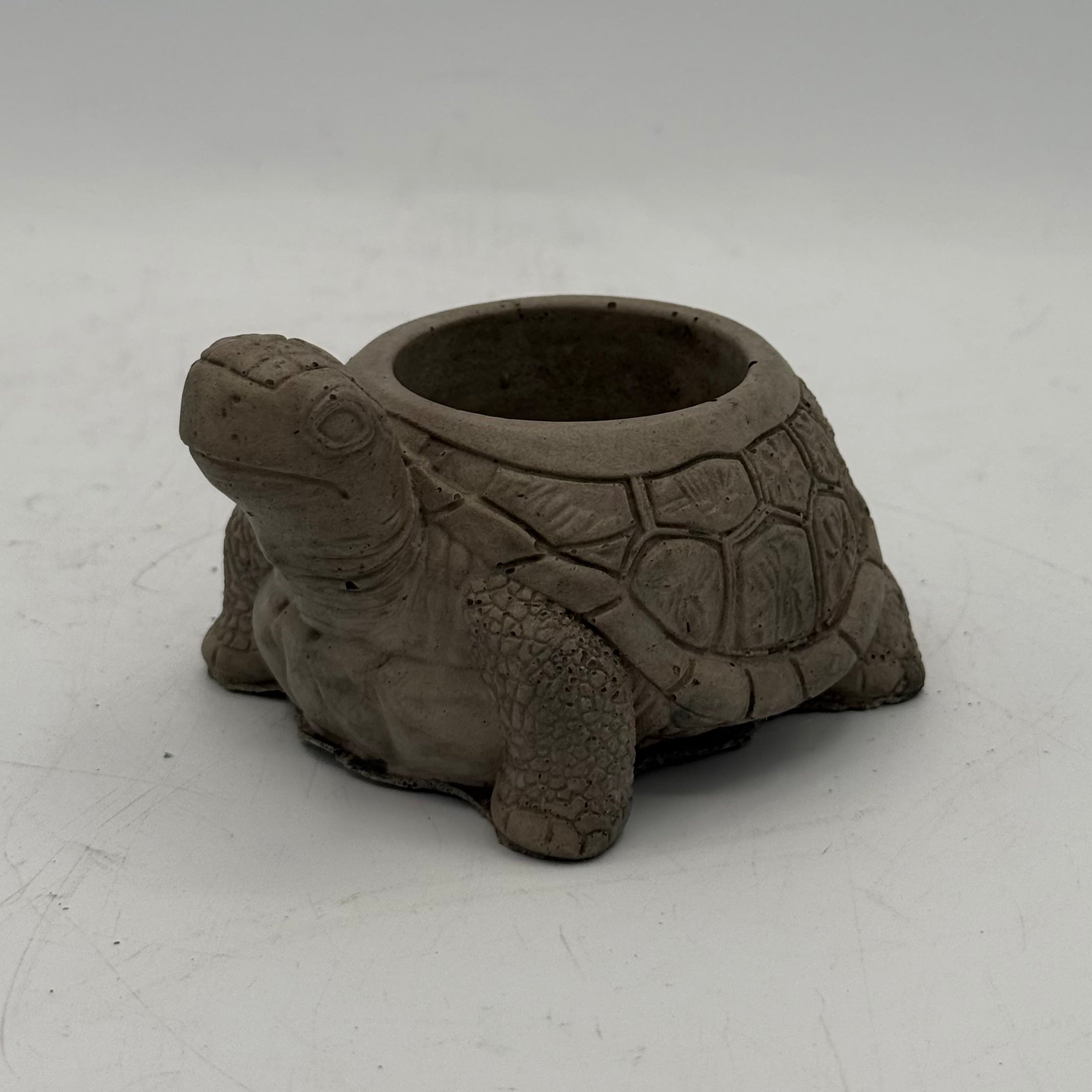 Turtle Planter