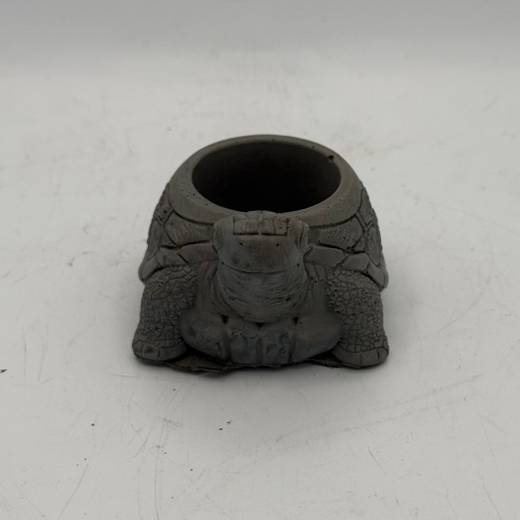 Turtle Planter