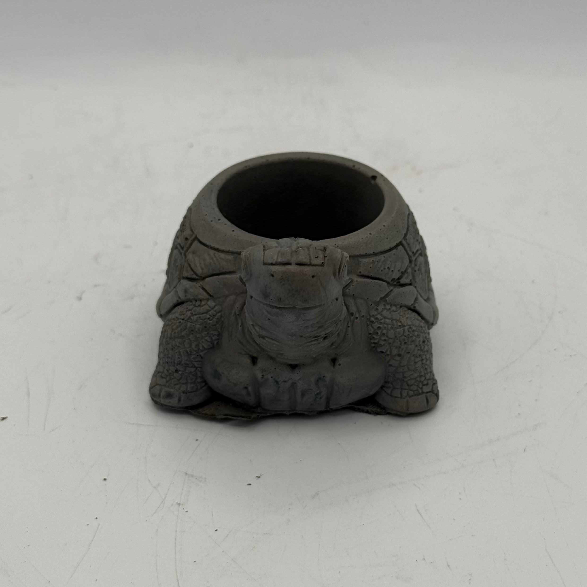 Turtle Planter