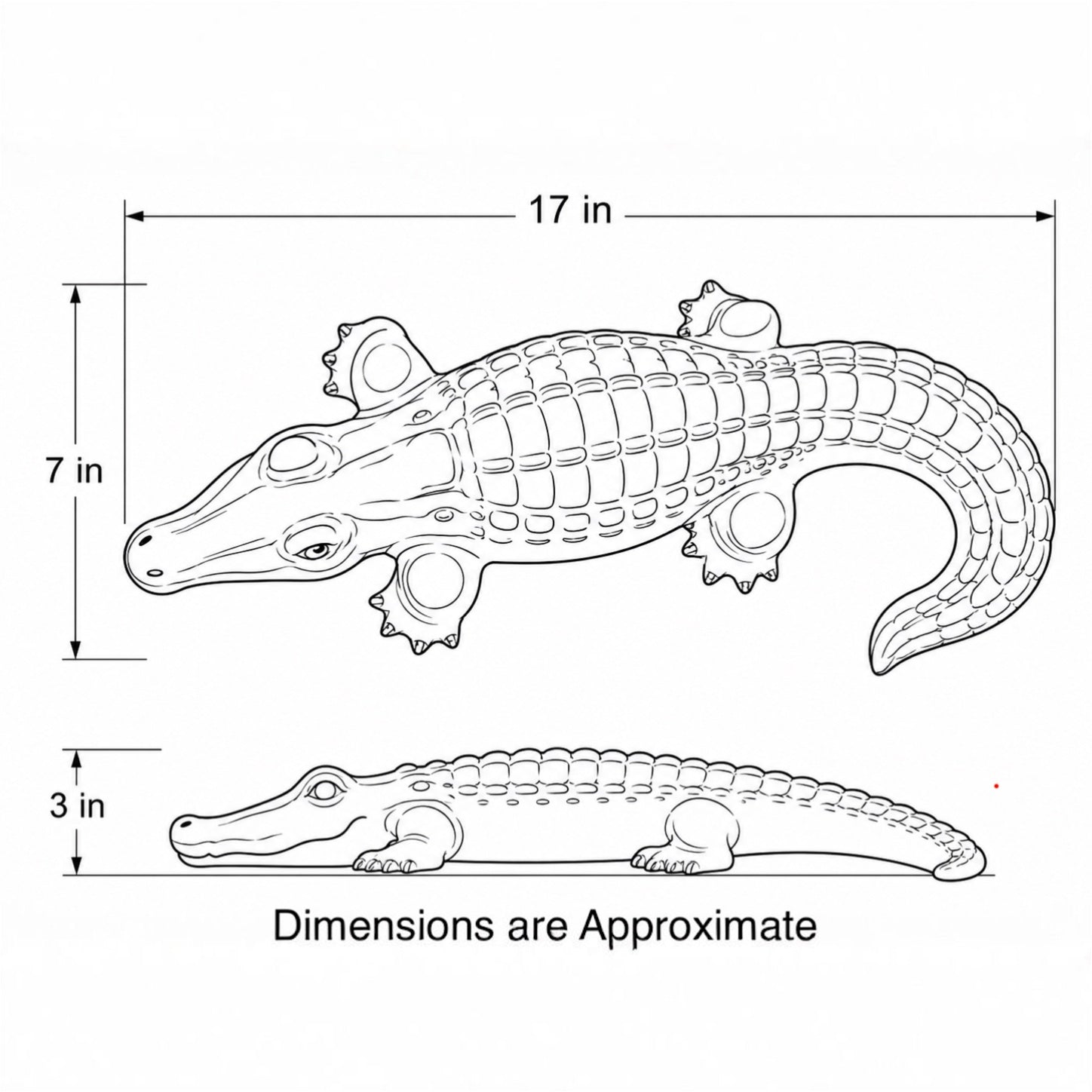 Alligator