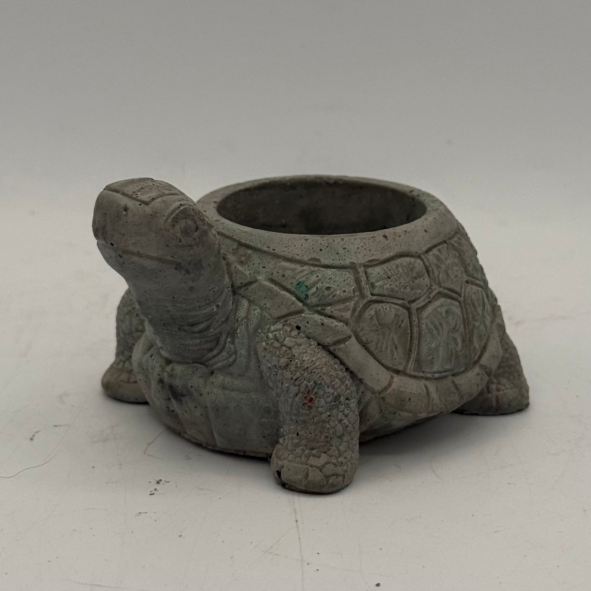 Turtle Planter