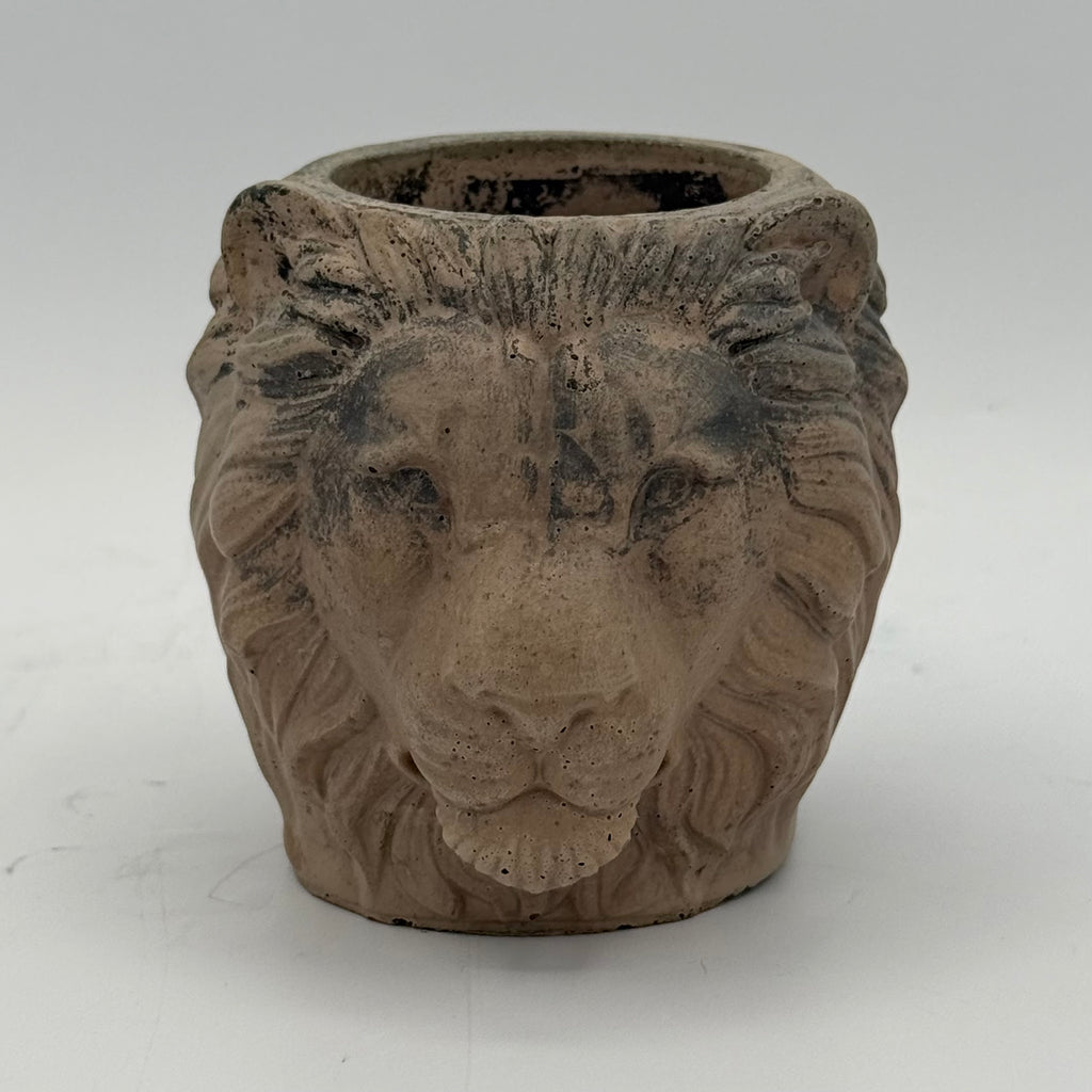 Lion Planter
