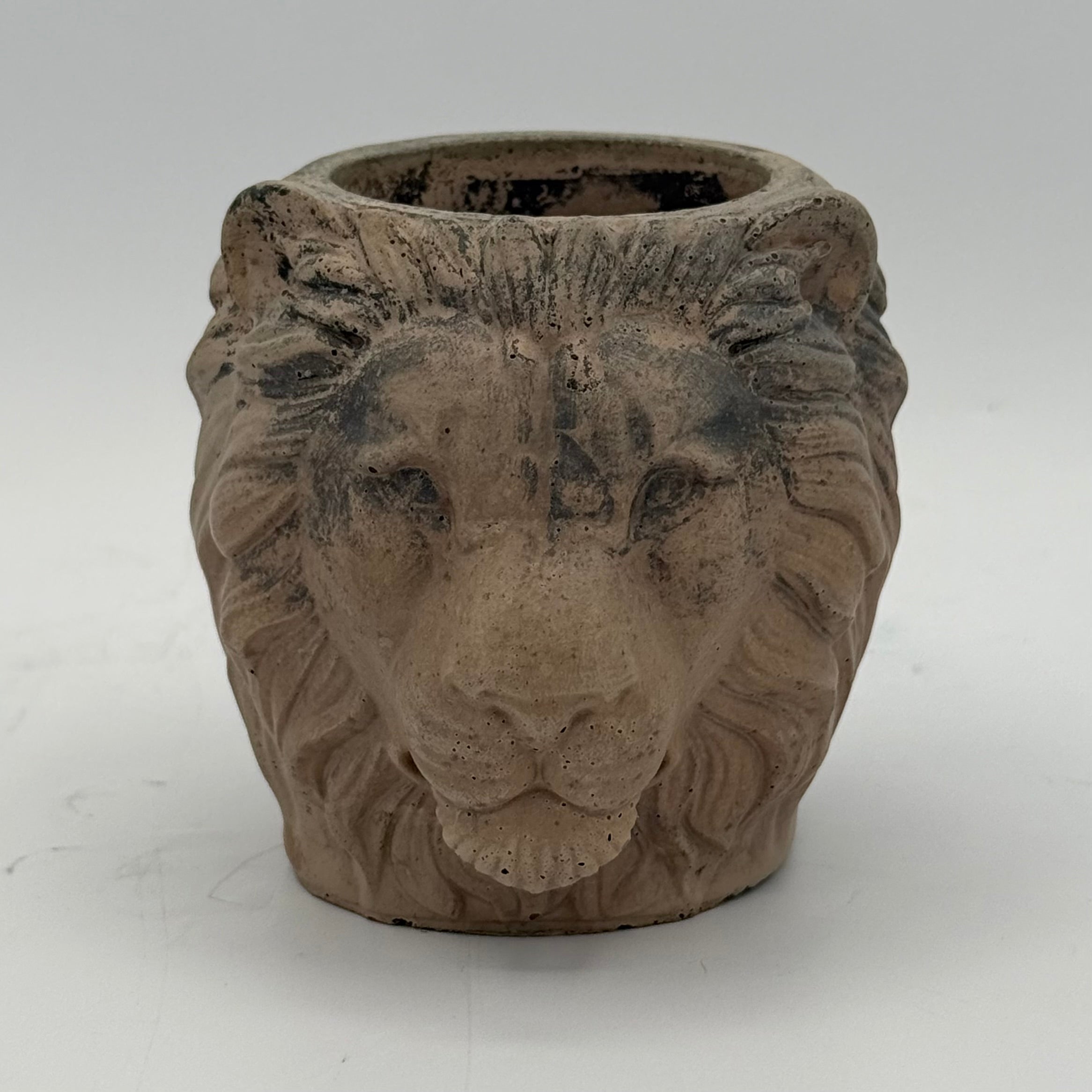 Lion Planter