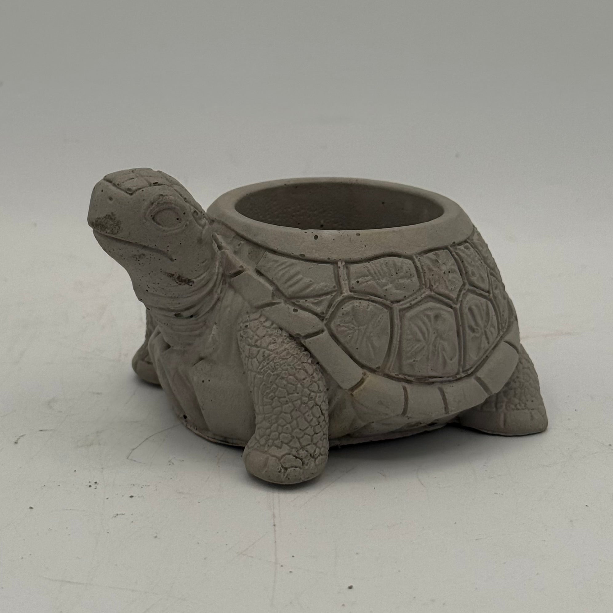 Turtle Planter