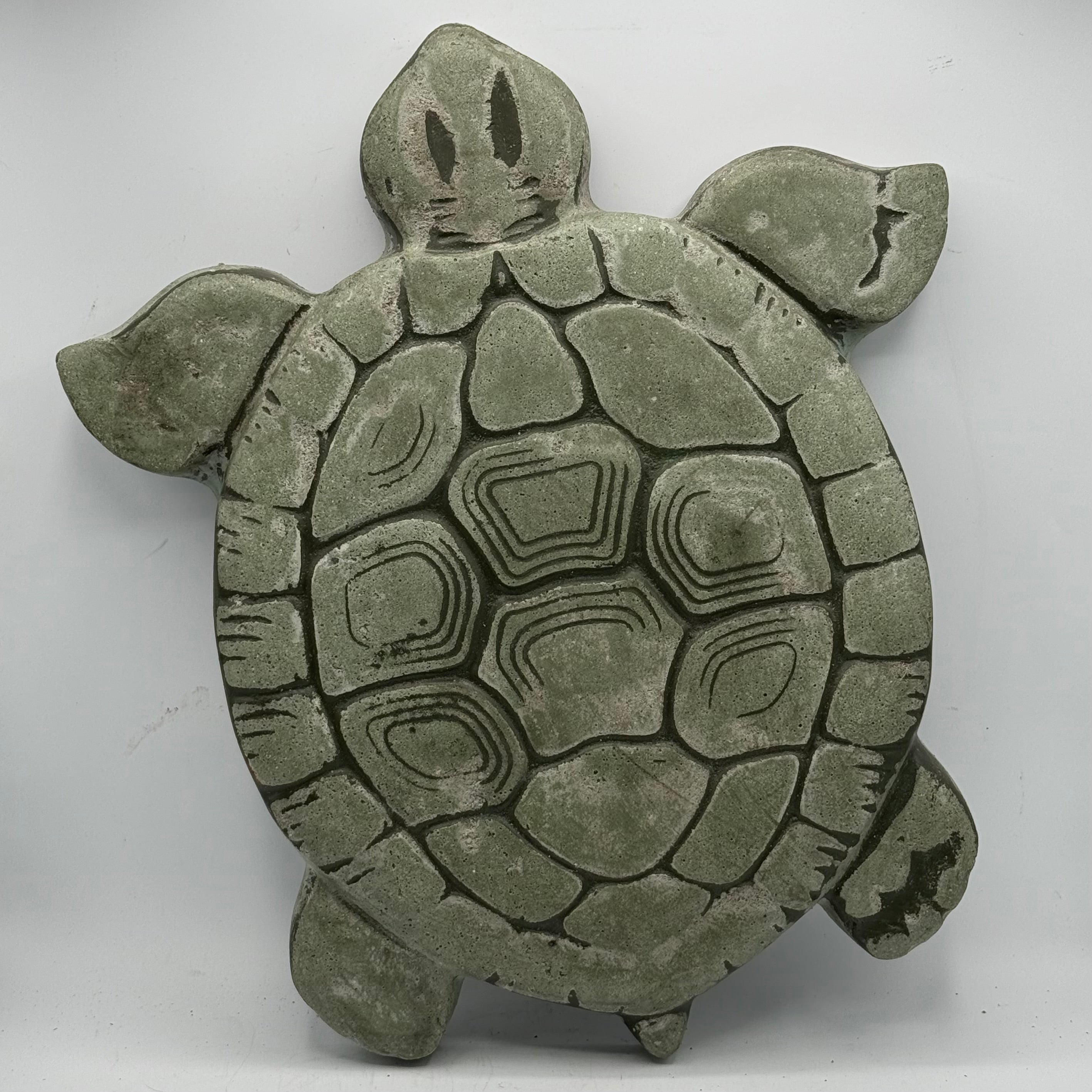 Turtle Stepping Stone