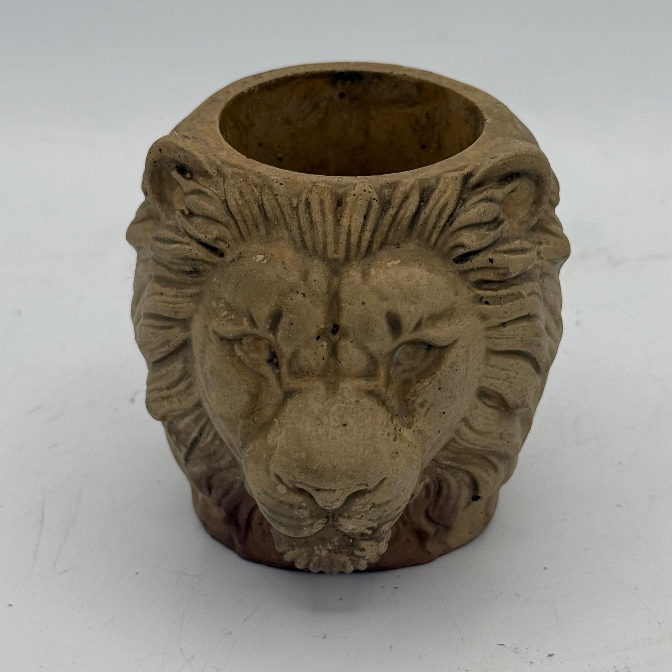 Lion Planter