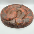 Rattle Snake Stepping Stone