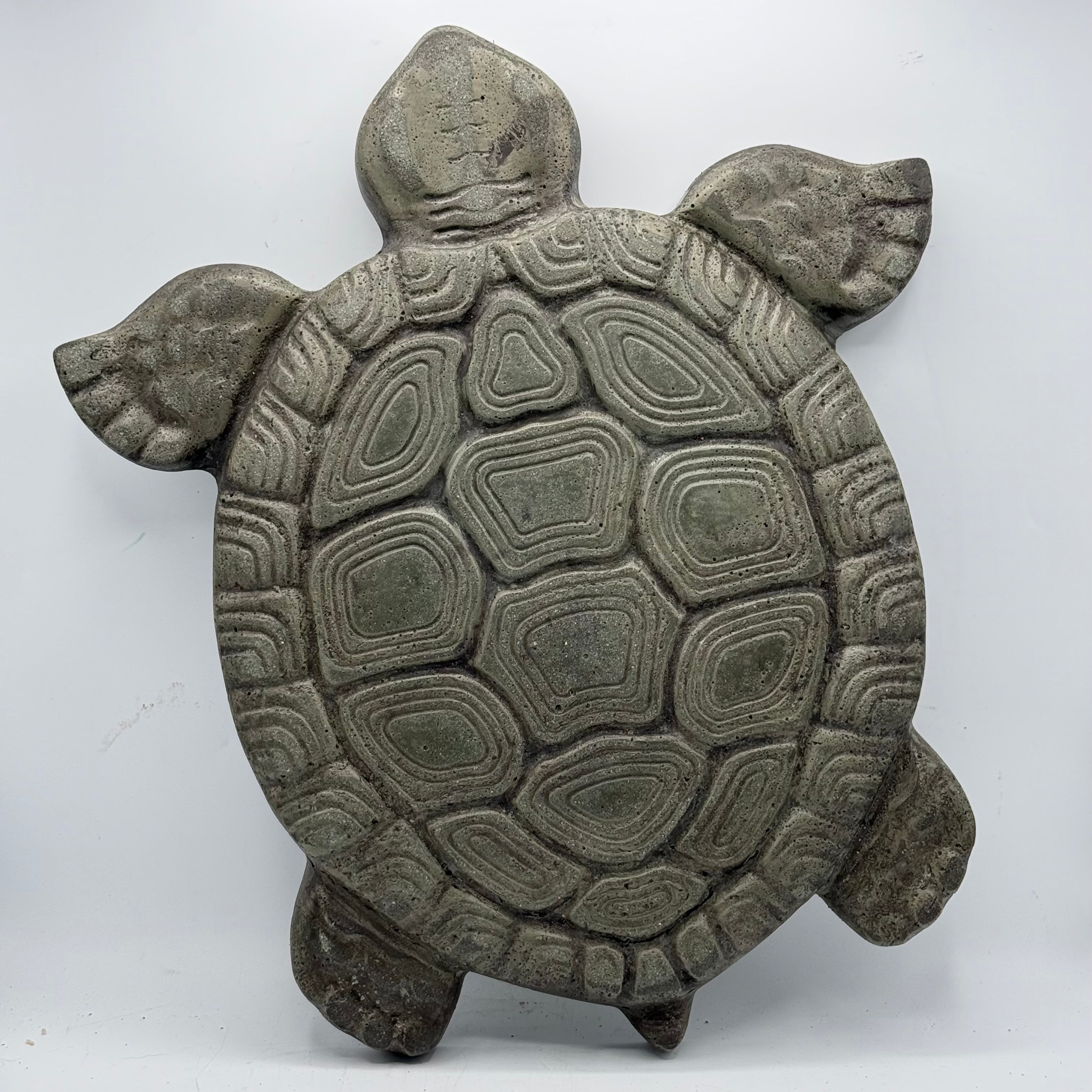 Turtle Stepping Stone