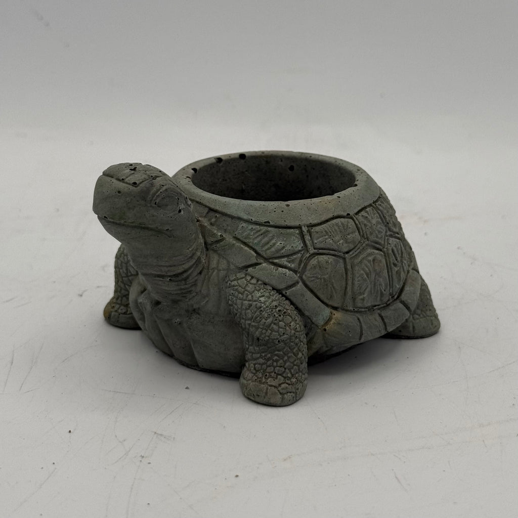 Turtle Planter