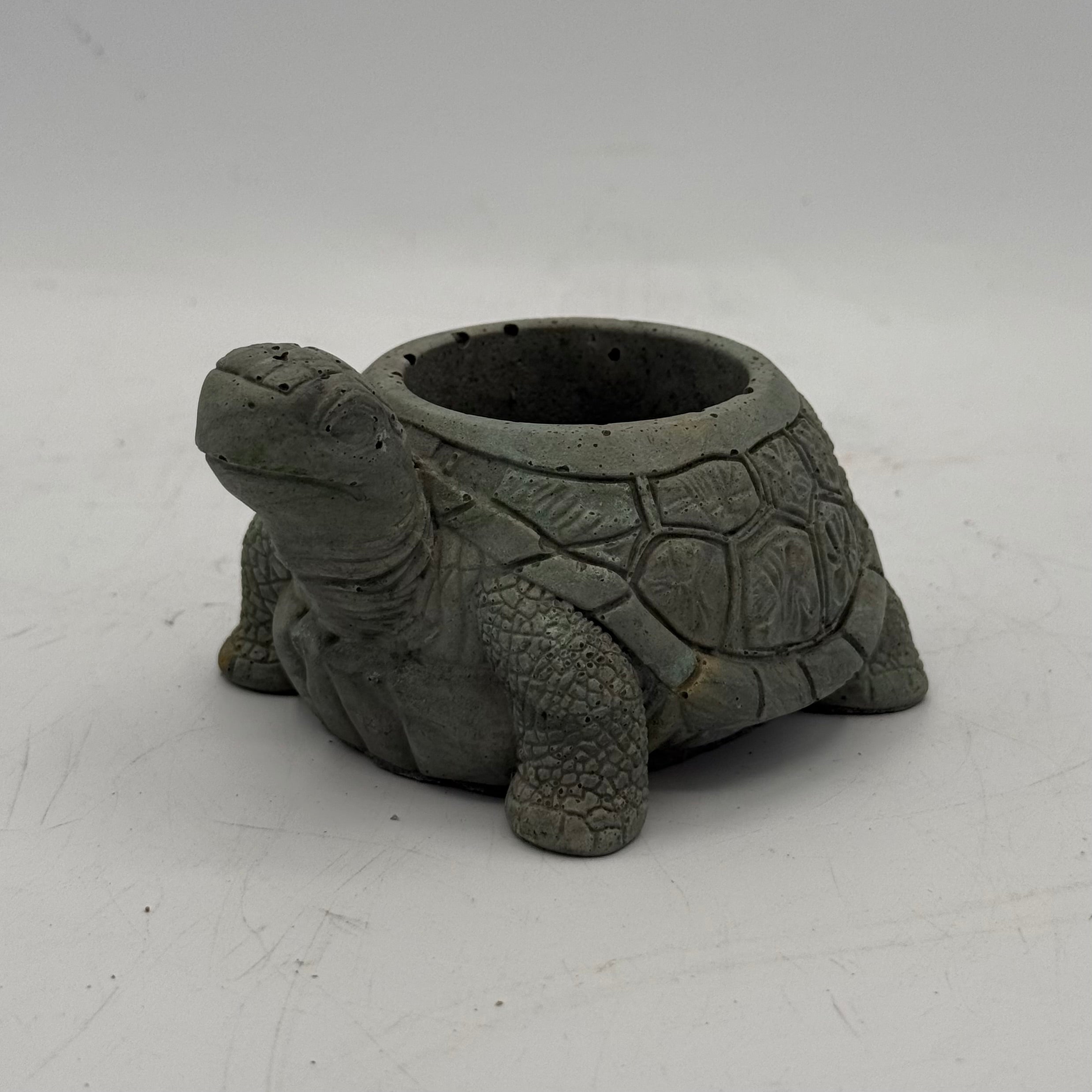 Turtle Planter