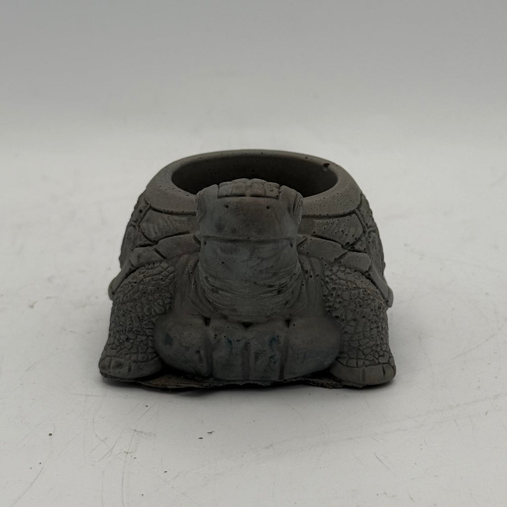 Turtle Planter