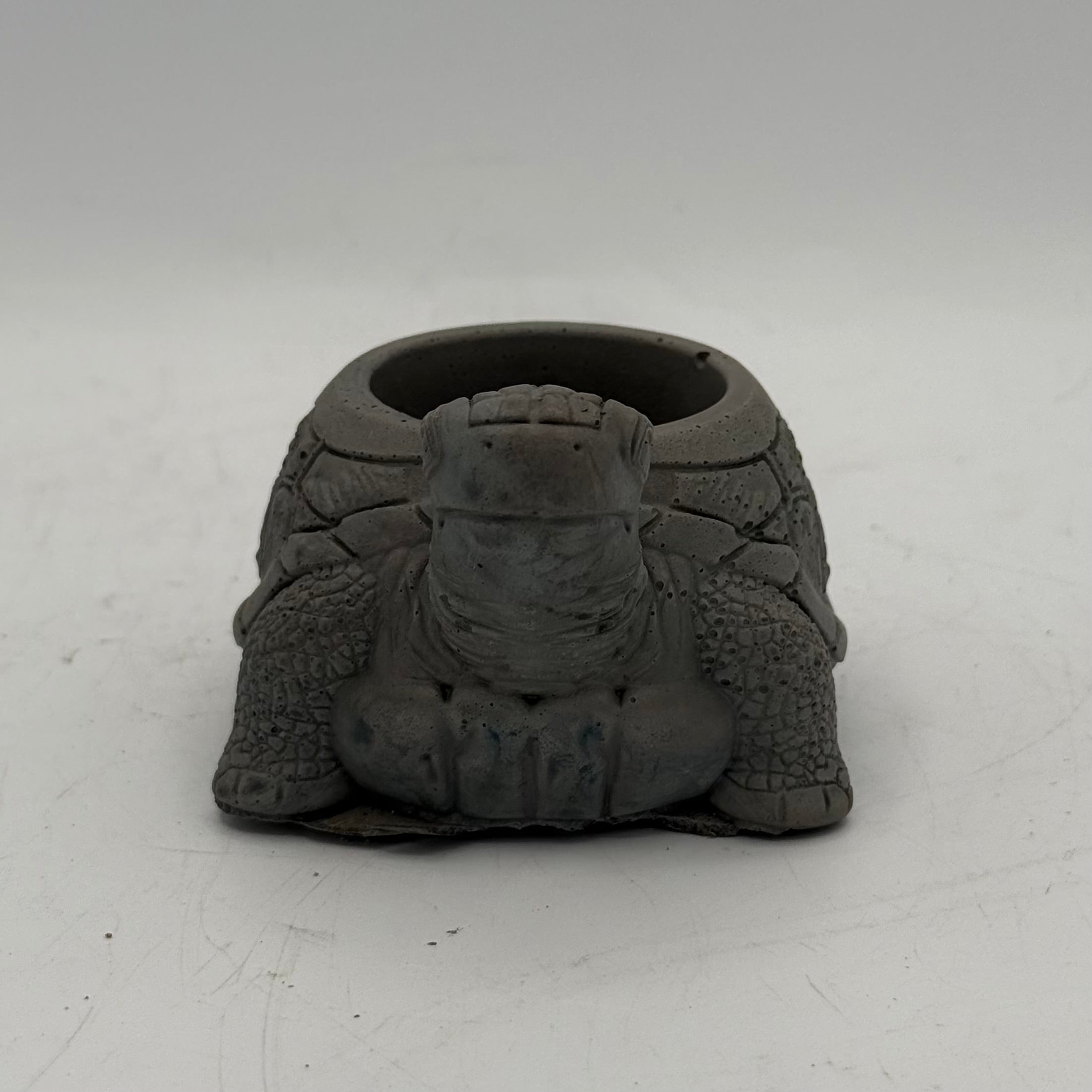 Turtle Planter