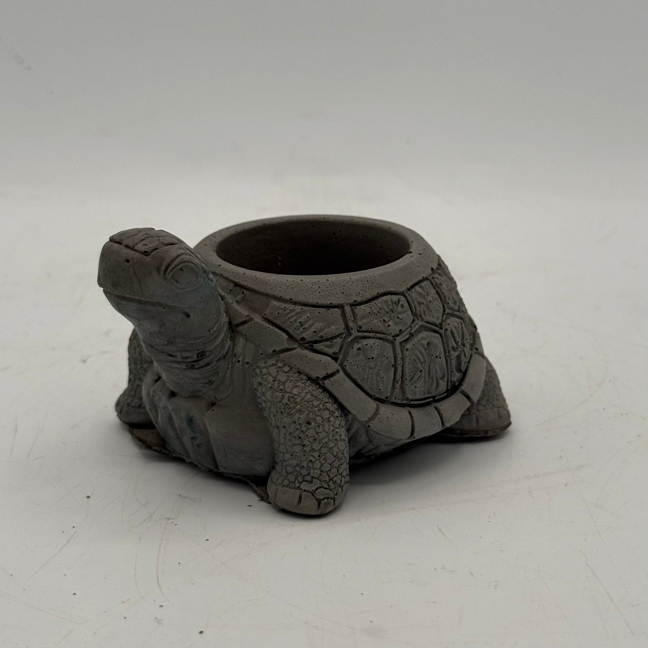Turtle Planter