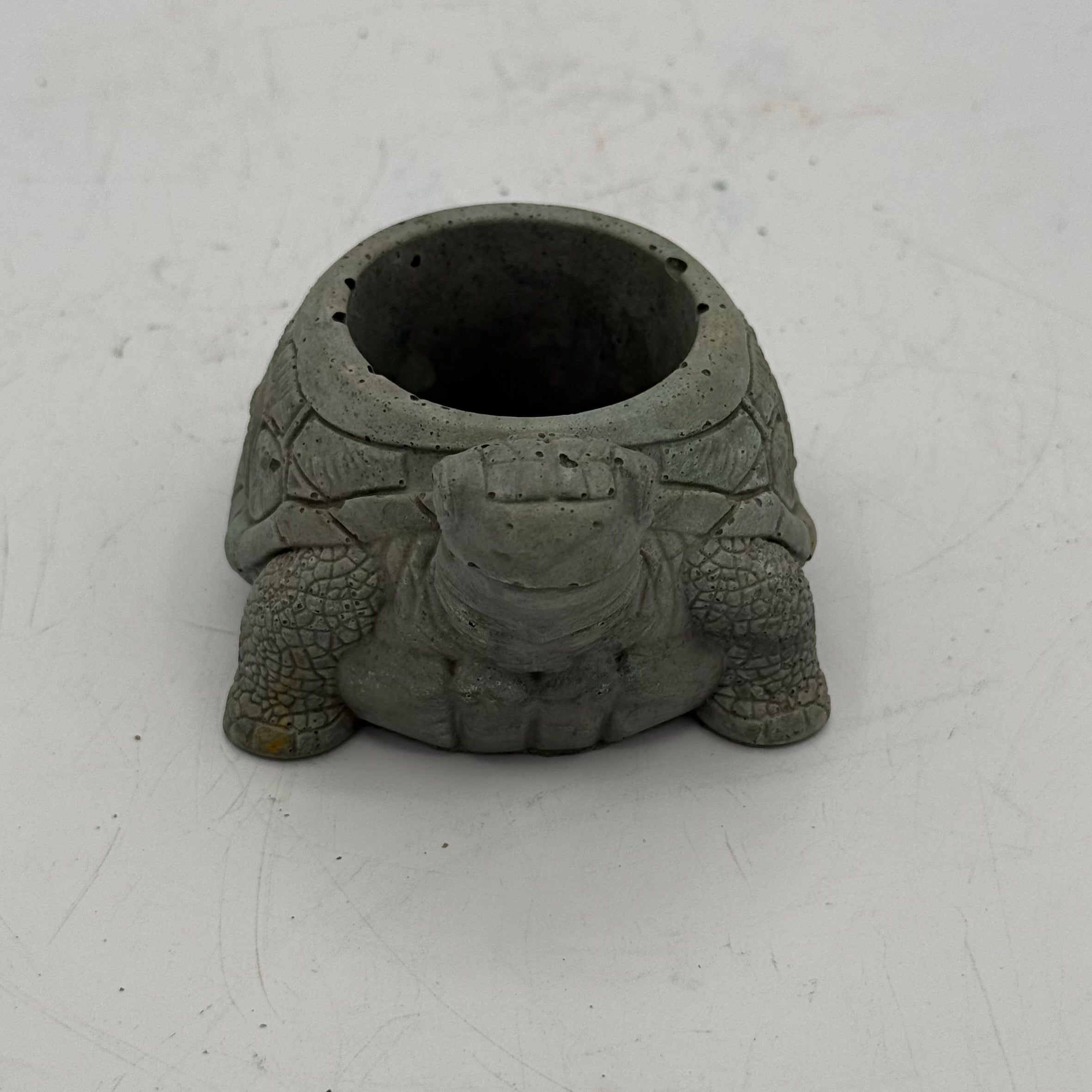 Turtle Planter