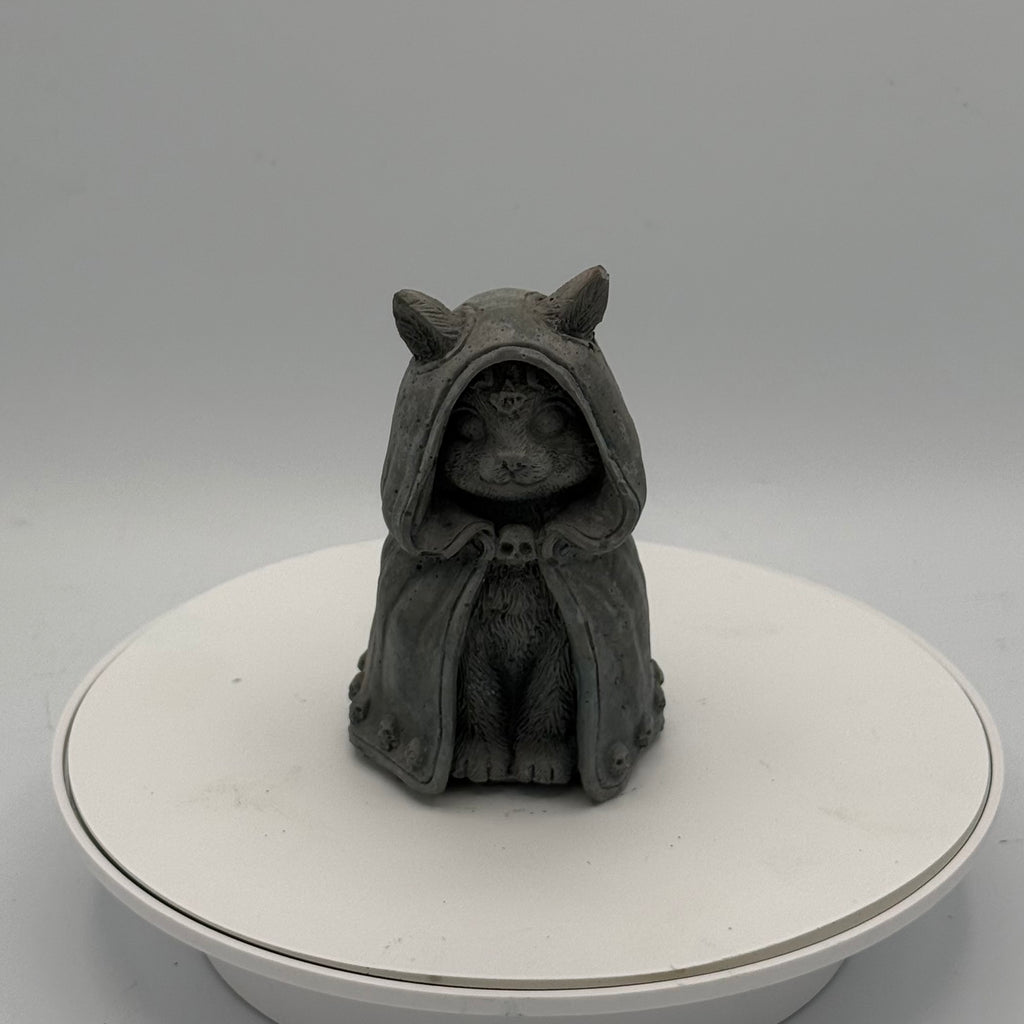 Hooded Cat