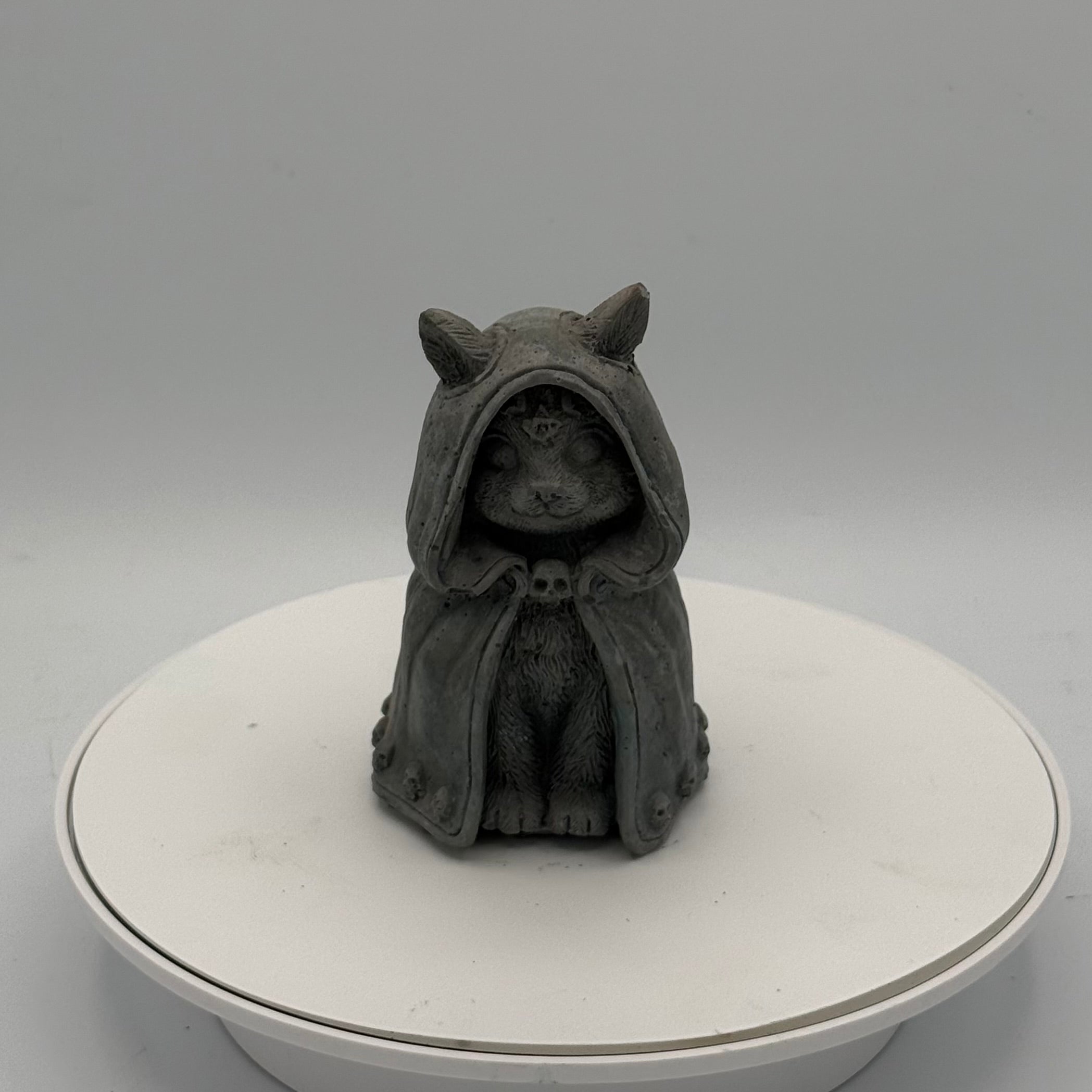 Hooded Cat