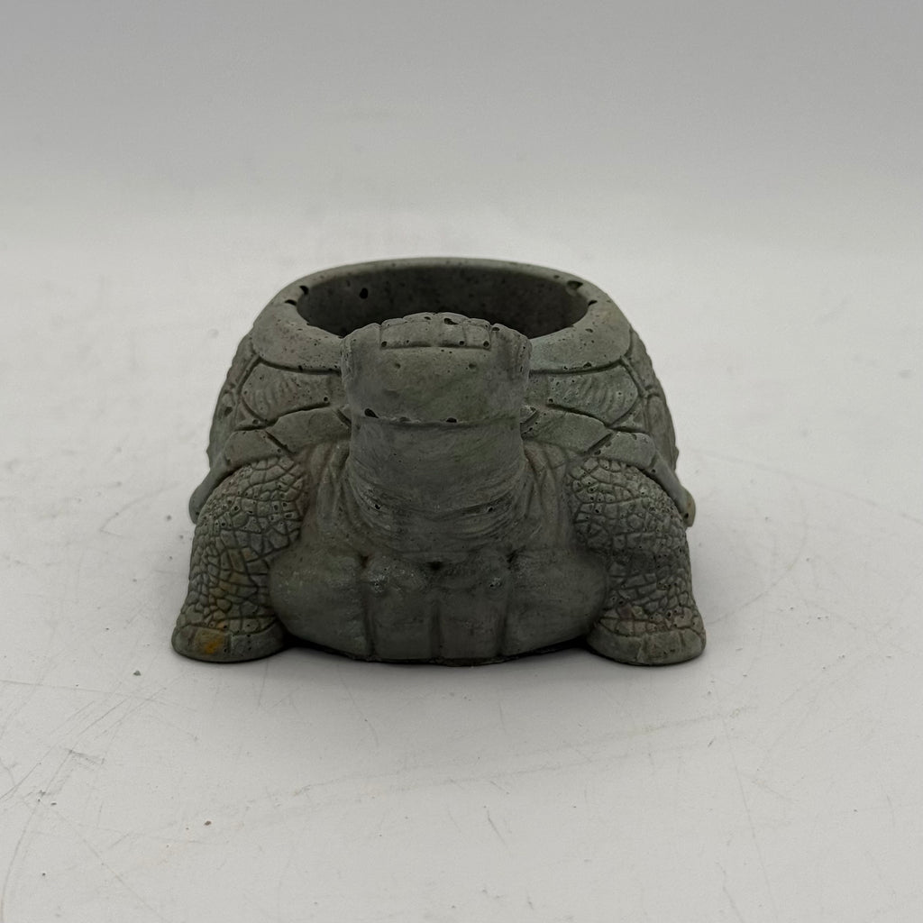 Turtle Planter