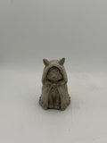 Hooded Cat
