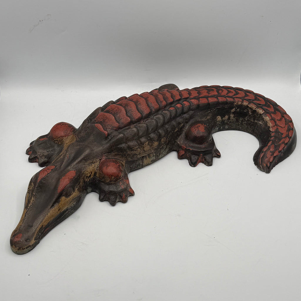 Alligator