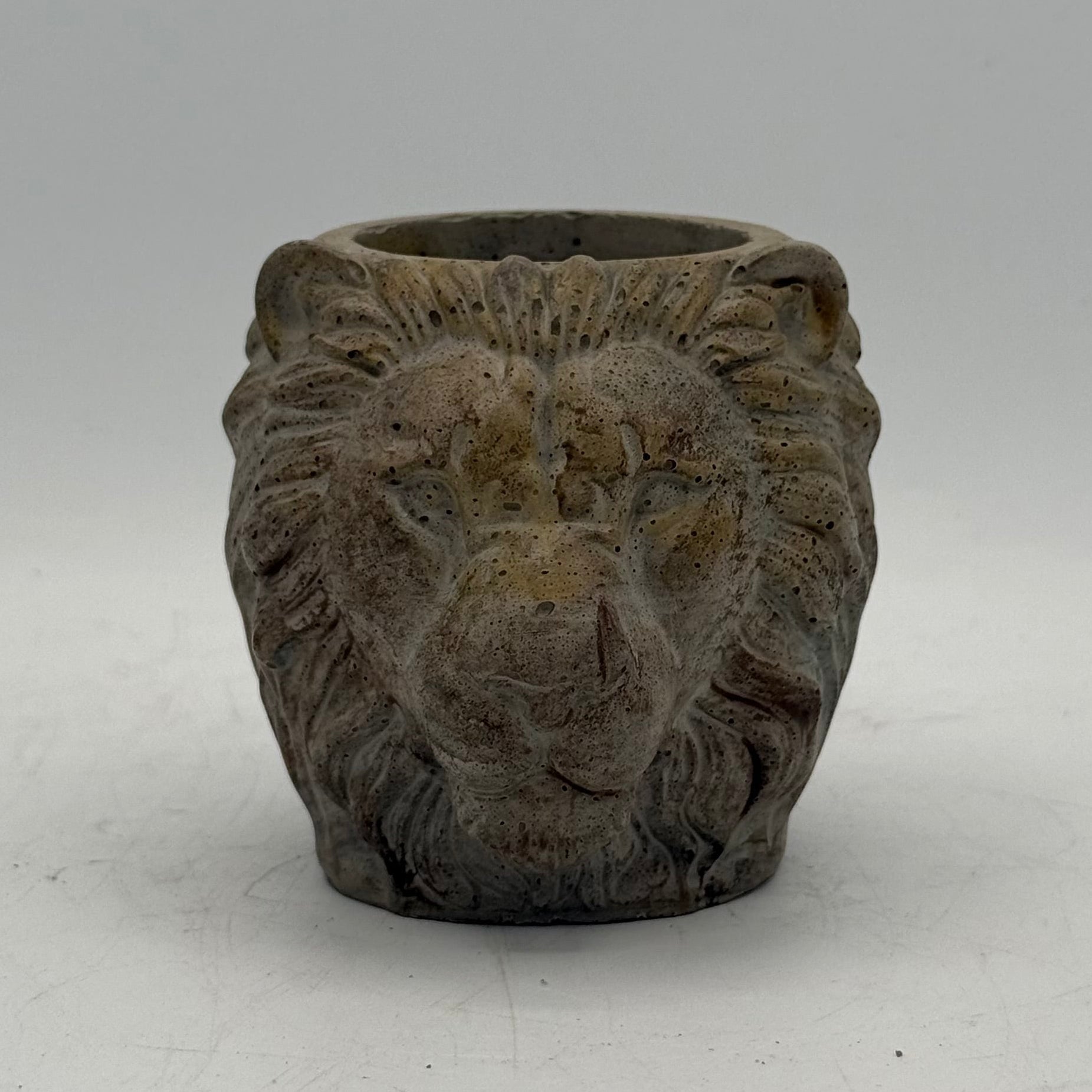 Lion Planter
