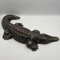 Alligator