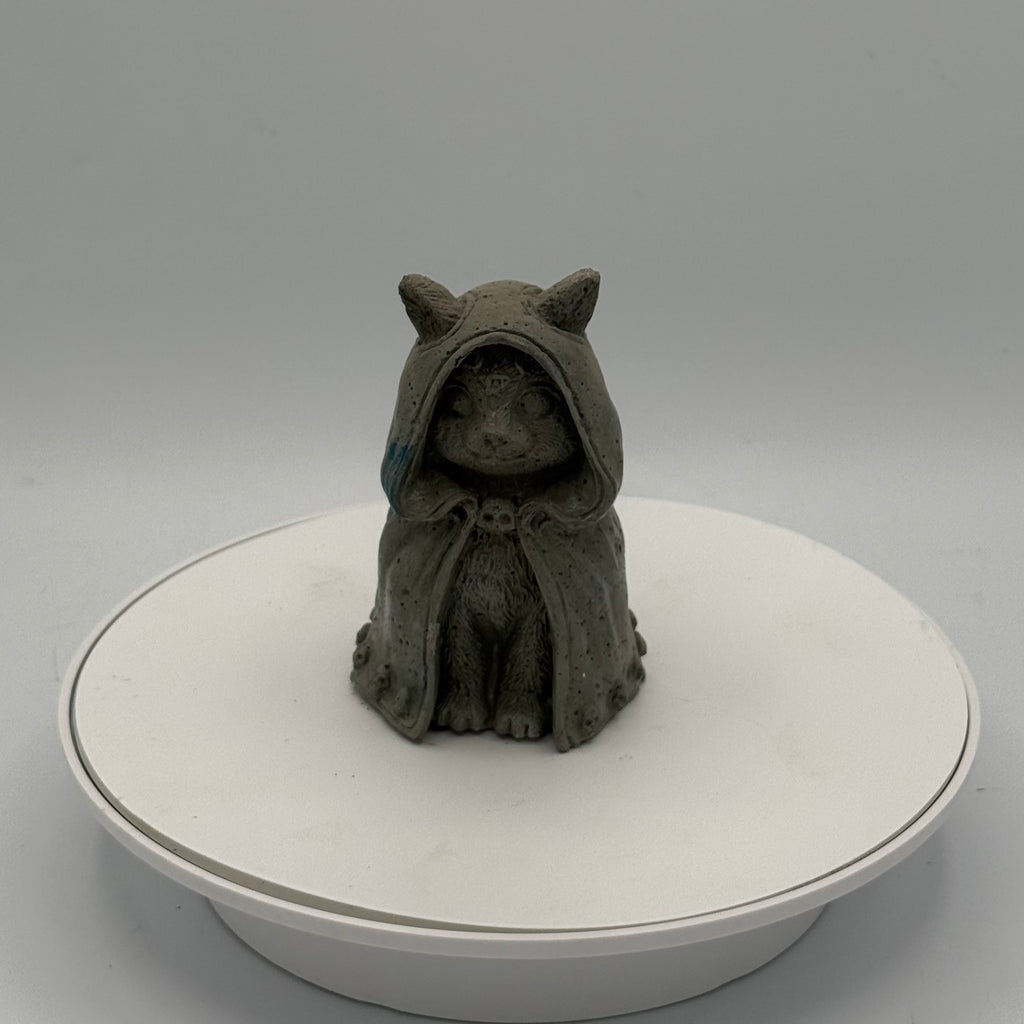 Hooded Cat