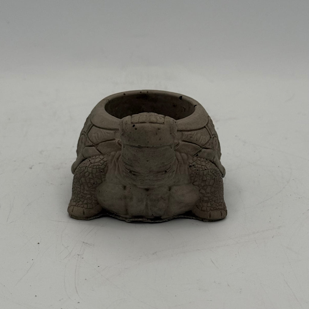 Turtle Planter