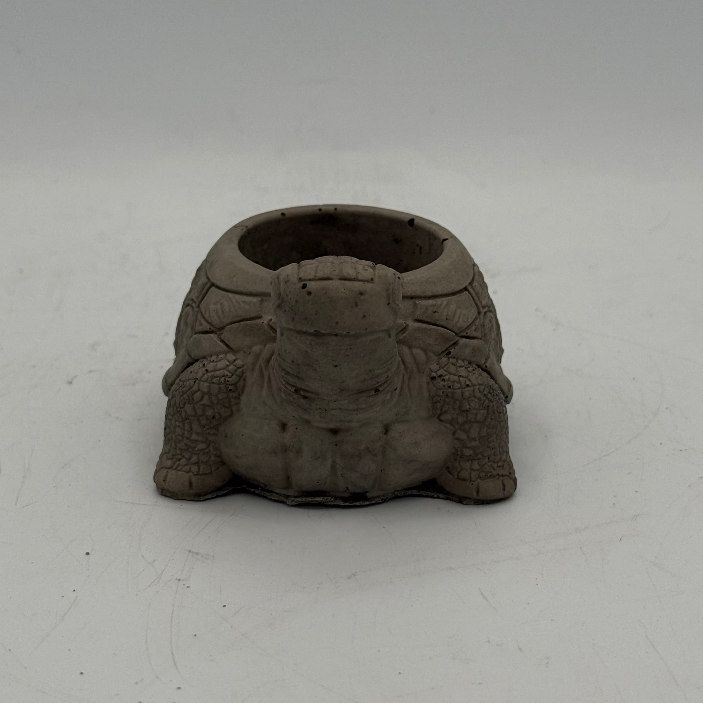 Turtle Planter