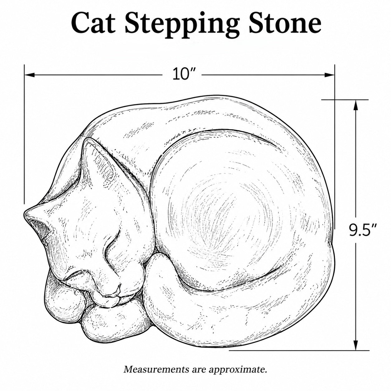 Cat Stepping Stone