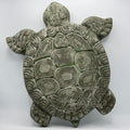 Turtle Stepping Stone