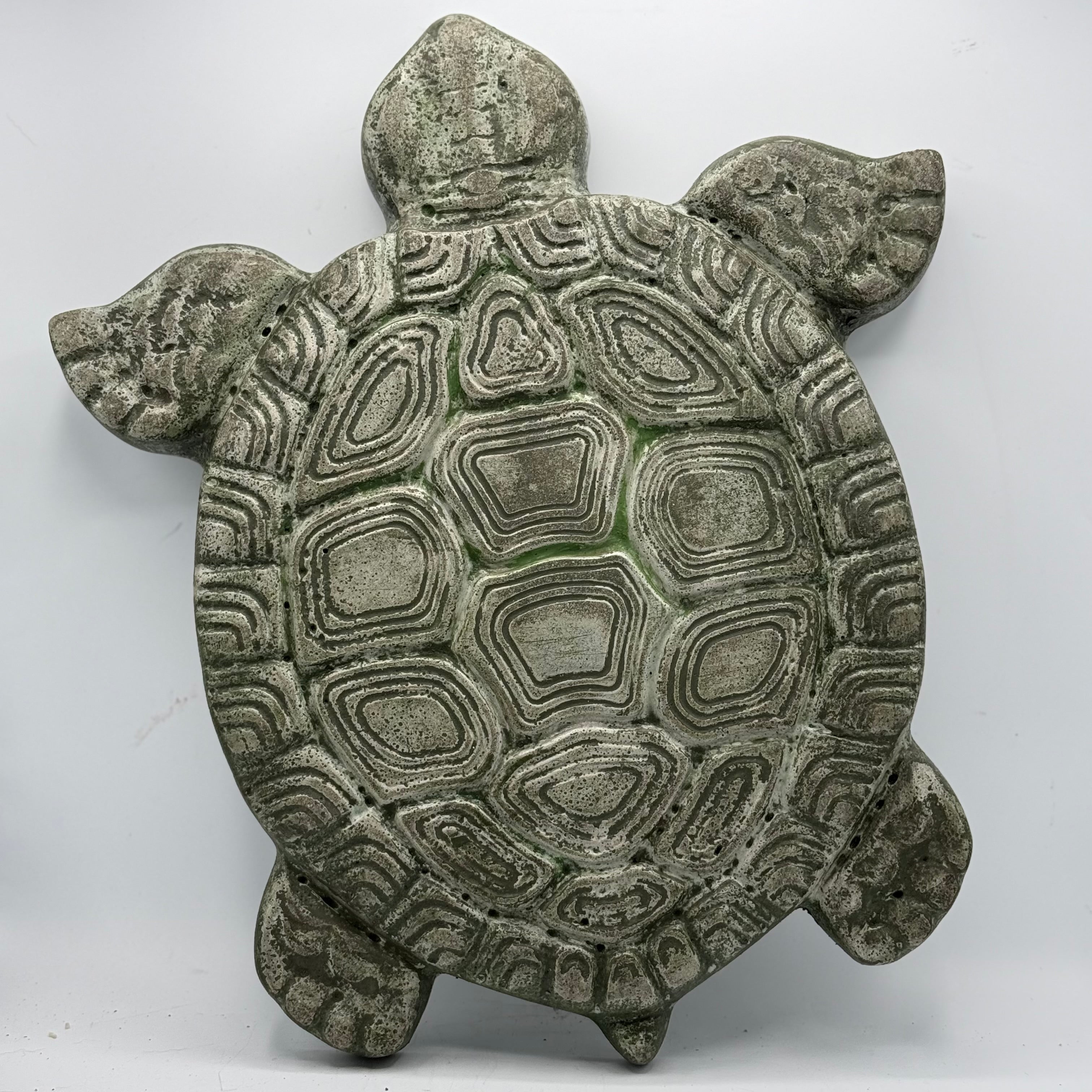 Turtle Stepping Stone