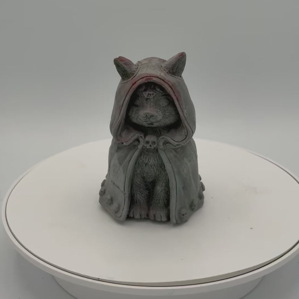 Hooded Cat