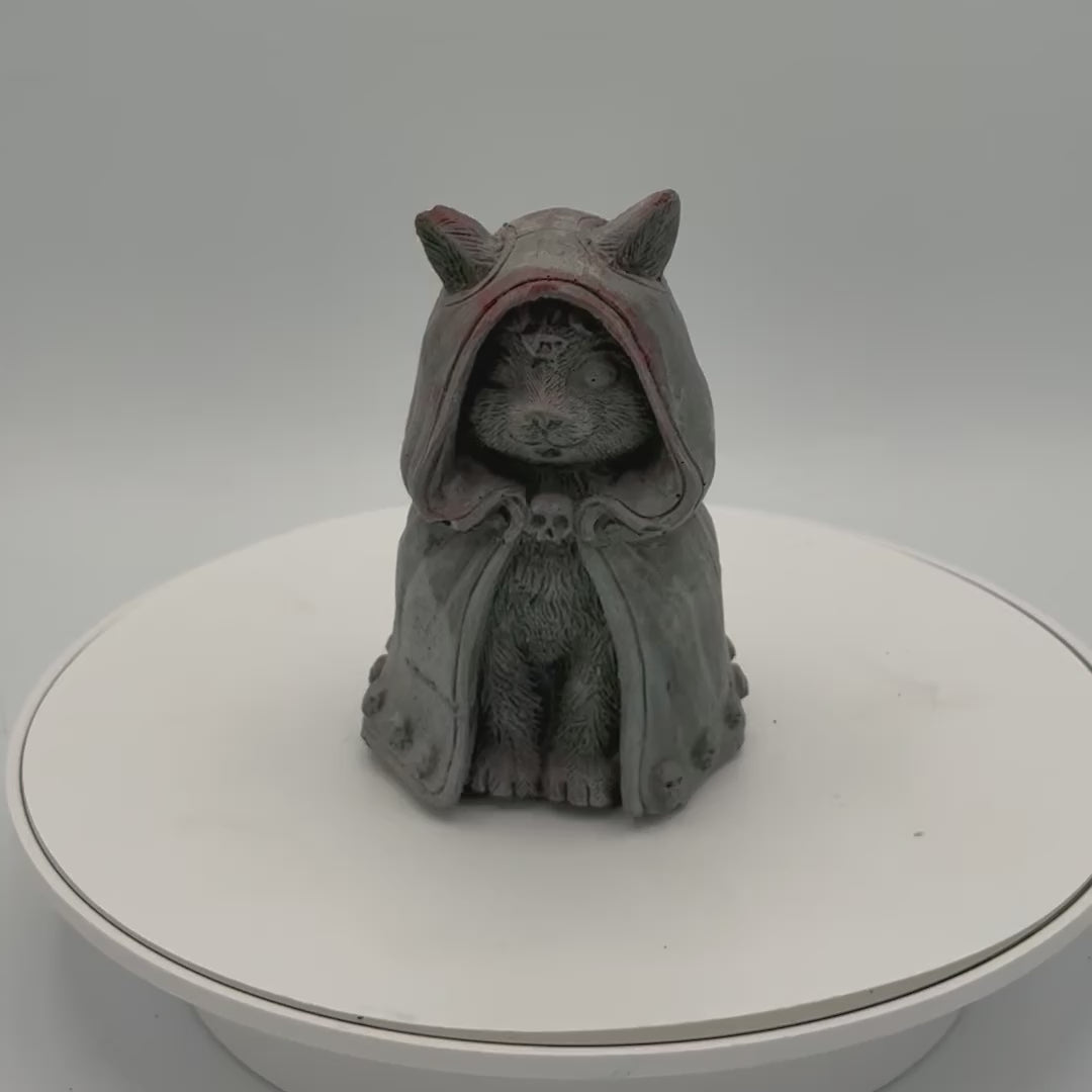 Hooded Cat
