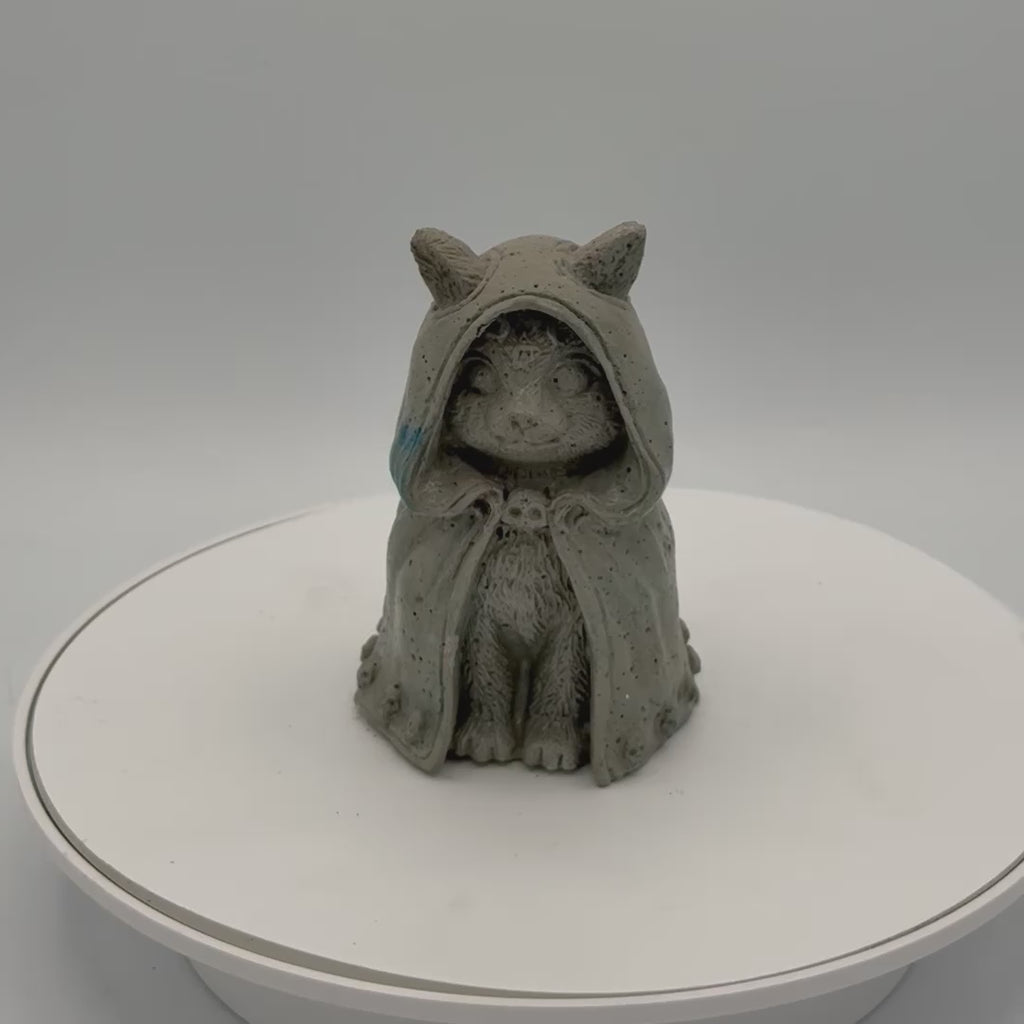 Hooded Cat