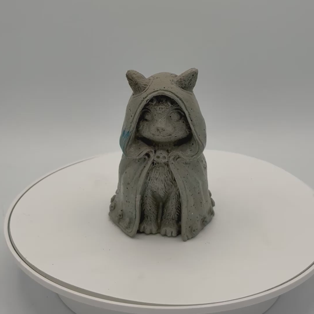 Hooded Cat